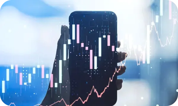 Profit Fundecia qué es